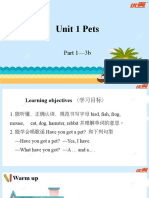 Unit 1 Pets Part 1-3b