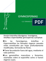 Gymnospermas