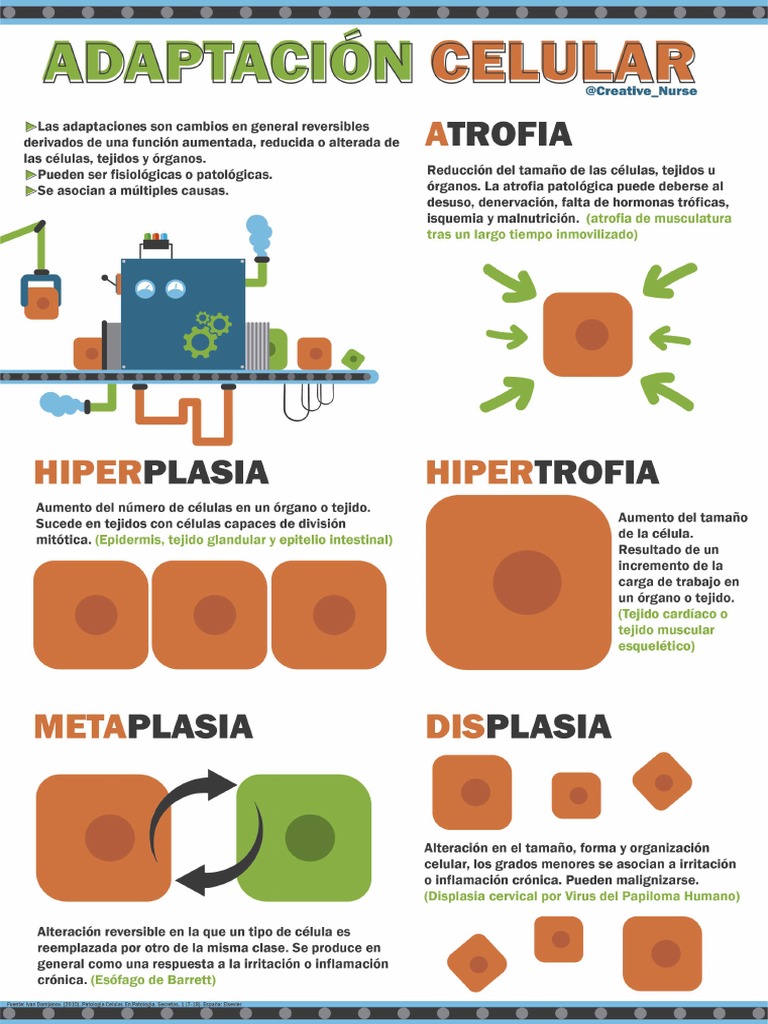 Adaptacion Celular | PDF