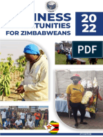 2022 Business Opportunities For Zimbabweans