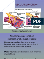 06 Neuromuscular Junction