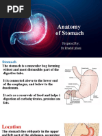 14 Stomach