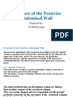 10-Posterior Abdominal Wall