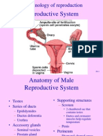 Reproductive Endocrinology
