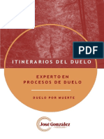 Itinerarios Del Duelo