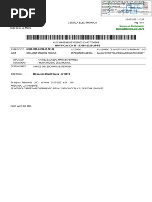 Chavez Salcedo Maria Esperanza Exp 02680 2023 0 3204 JR PE  