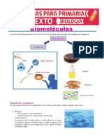 Biomoléculas Inorganicas - 4° Sec