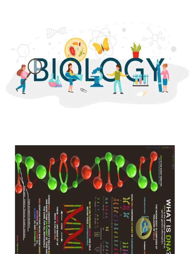 Biology Decorations PDF