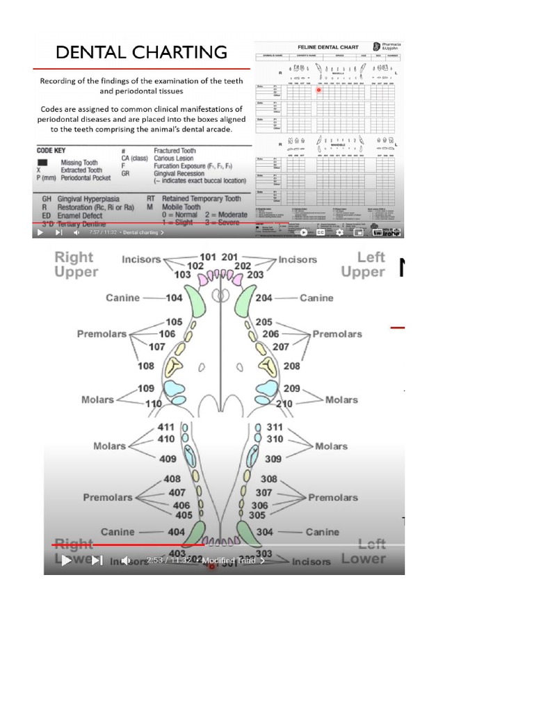 Dental Prophylaxis PDF