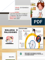 Malaria Exposicion