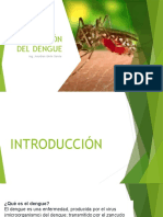 Prevención Del Dengue