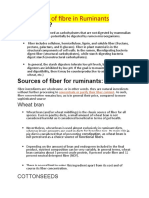Role of Fibre in Ruminants
