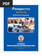 Veterinary Prospectus 