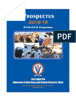 Veterinary Prospectus 
