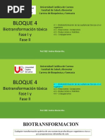 Experimento PH Con Repollo Morado | PDF | Ph | Ácido