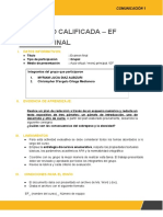 Ef - Comunicación 1-Grupo 11