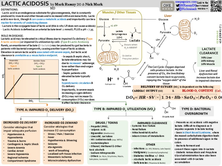 Understanding Lactic Acidosis in ICU | PDF | Lactic Acid | Lactate ...