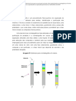 Relatório 10 - Cromatografia - Passei Direto