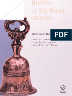 Resumo Historia de Sao Paulo Colonial Maria Beatriz Nizza Da Silva