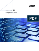 (A) Programacion