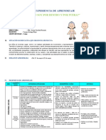 PROYECTO CUERPO 3 AÑOS Al 17 de Mayo