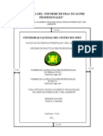 Estructura Del Informe