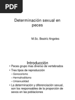 Clase 4-Determinación Sexual en Peces