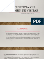 Tenencia y Regimen de Visitas 2023