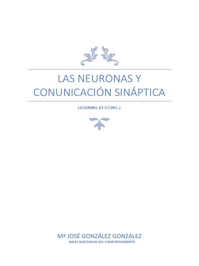 Neuronas y Comunicación Sináptica | PDF | Sinapsis | Neurona