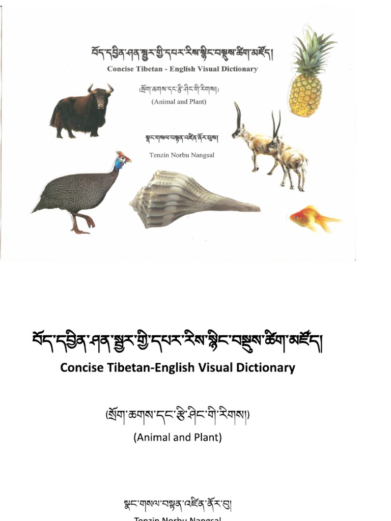 Tibetan English Visual Dictionary PDF