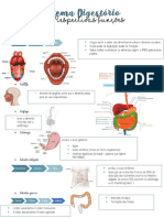 Sistema Digestório