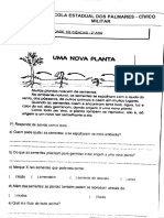 Atividade Sobre Plantas