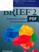 BRIEF 2 Manual de Aplicación