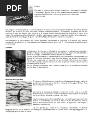 Avistamientos Reales De Monstruos Marinos