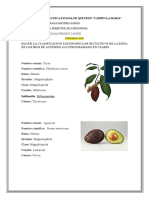 Taxonomia de Plantas