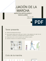 Marcha (Articular y Muscular)