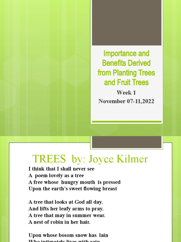 tle6-w1-q2-importance-and-benefits-derived-from-planting-trees-and