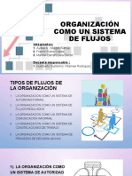 Organización Como Un Sistema de Flujos