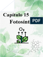 Capitulo 15