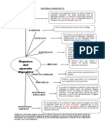 Guía Organos Del S. Digestivo