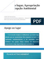 Apego Ao Lugar, Apropriação e Percepção Ambiental.