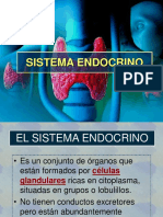 Sistema Endocrino