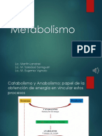 Metabolismo