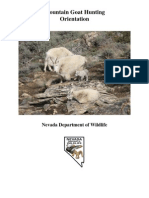 35239318 Mountain Goat Hunting Orientation