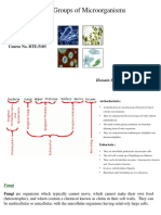 Major Groups of Microorganisms - BTE-5103 - HMF