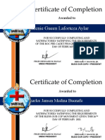 Pre-Cadet-Certificate Fcliam Logo