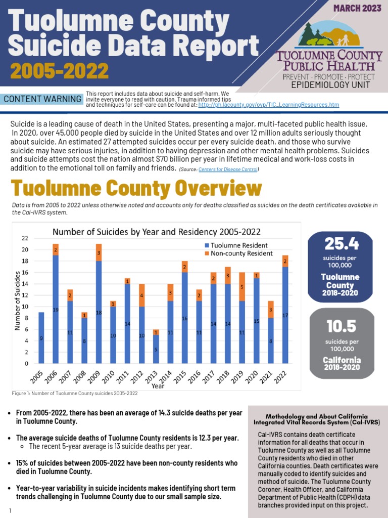 Suicide Report Handout | PDF | Suicide | Self Harm