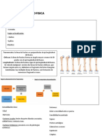 RESUMEN SALUD FISICA (Personal)