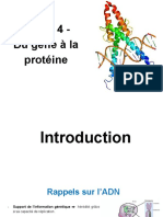 Biochimie - Pré-Rentrée - Cours 4 - Du Gène À La Protéine - Errata Dans Le Poly