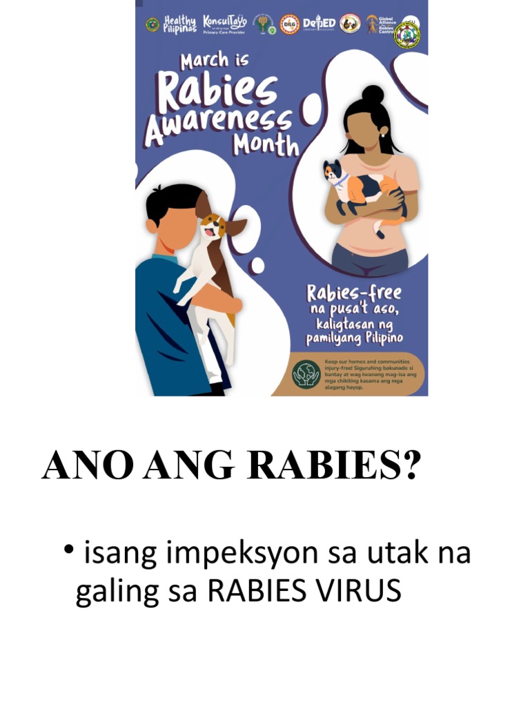 Rabies: Causes, Symptoms, and Prevention | PDF | Wellness | Lifestyle